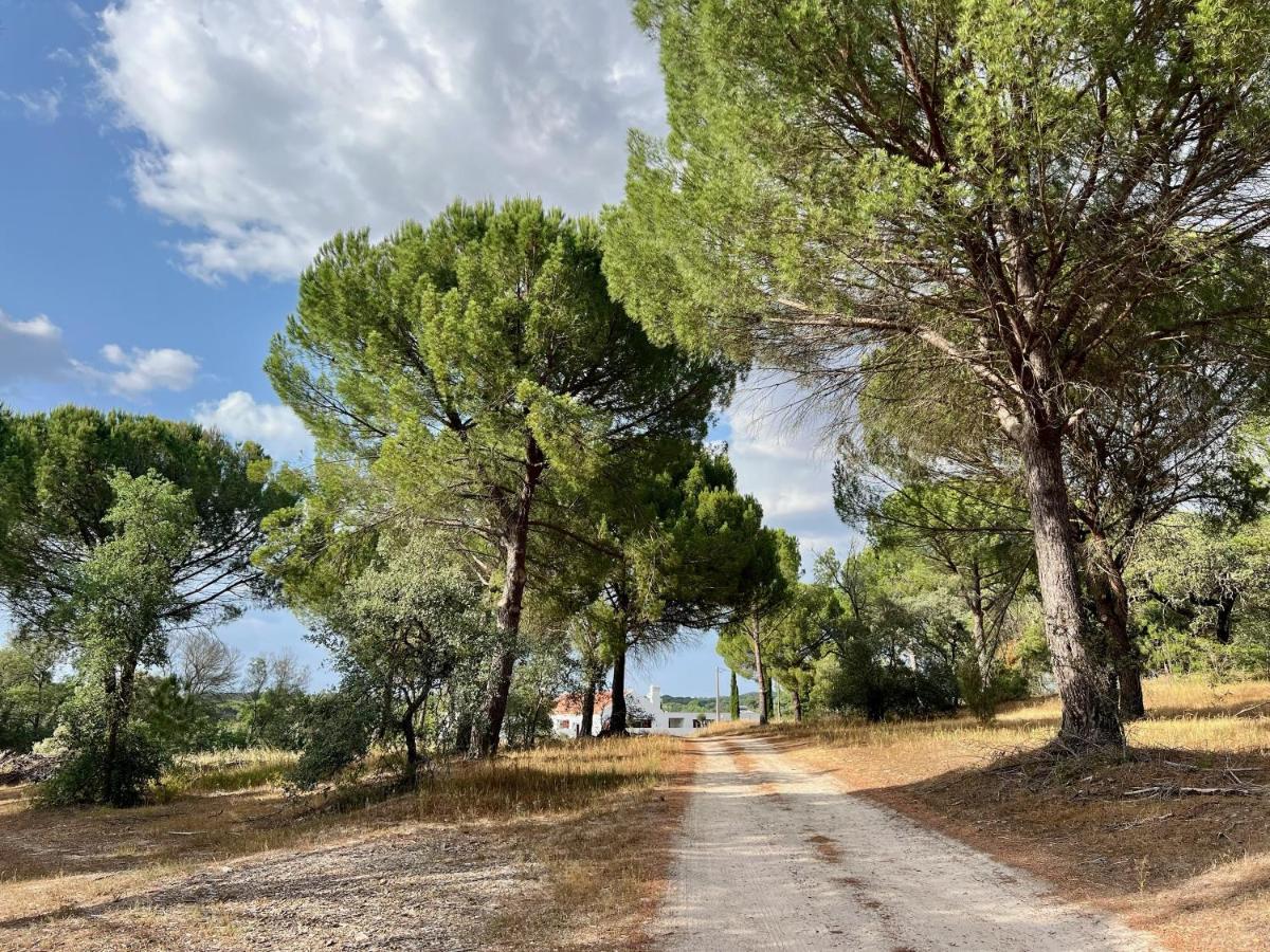 Вилла Fazenda Do Pomar By Trip2Portugal Монтемор-у-Нову Экстерьер фото