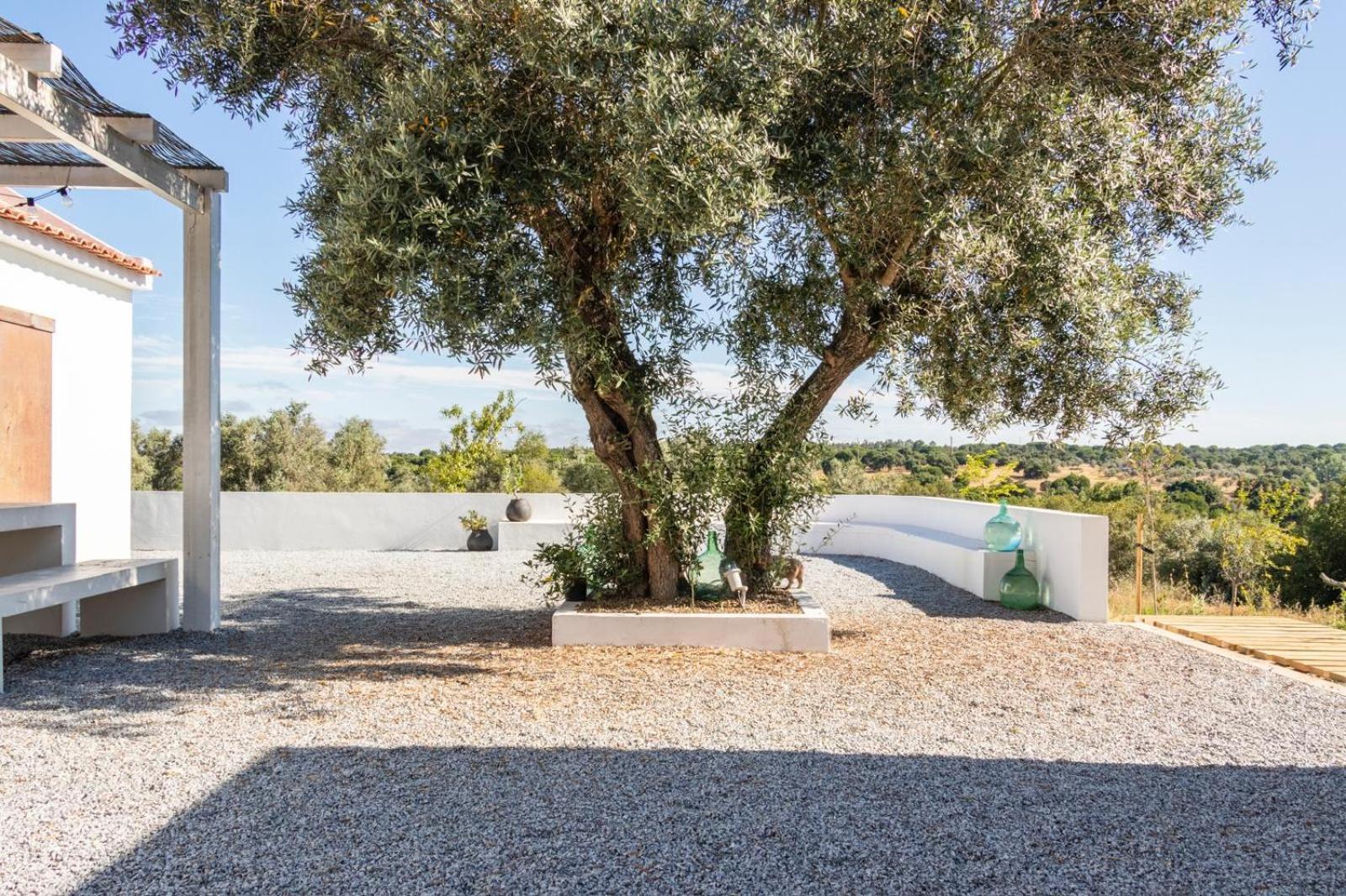 Вилла Fazenda Do Pomar By Trip2Portugal Монтемор-у-Нову Экстерьер фото
